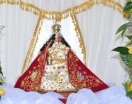 Festividad de la Santísima Virgen de Chapi 2016